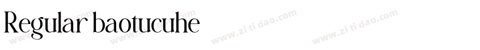 Regular baotucuhe字体转换